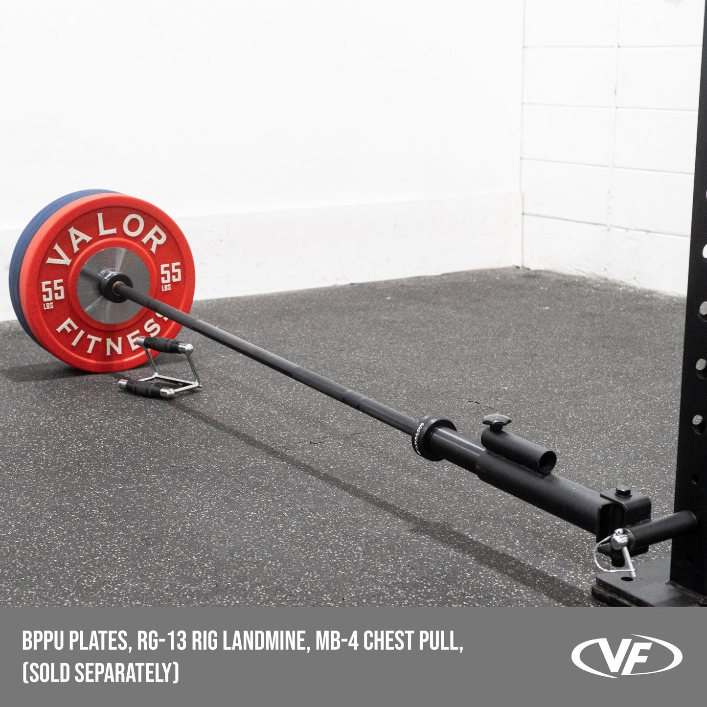Black Olympic Bearing Barbell - Grit Grind Strength