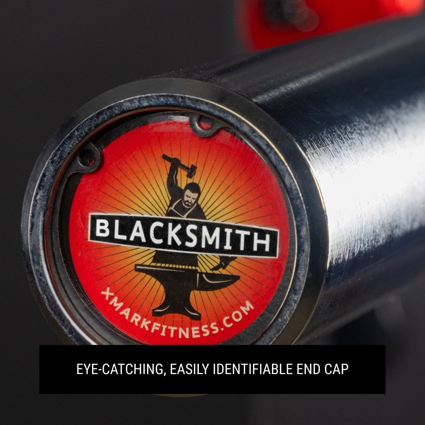 Blacksmith EZ Curl Bar, Fits Olympic Weight Plates - Grit Grind Strength