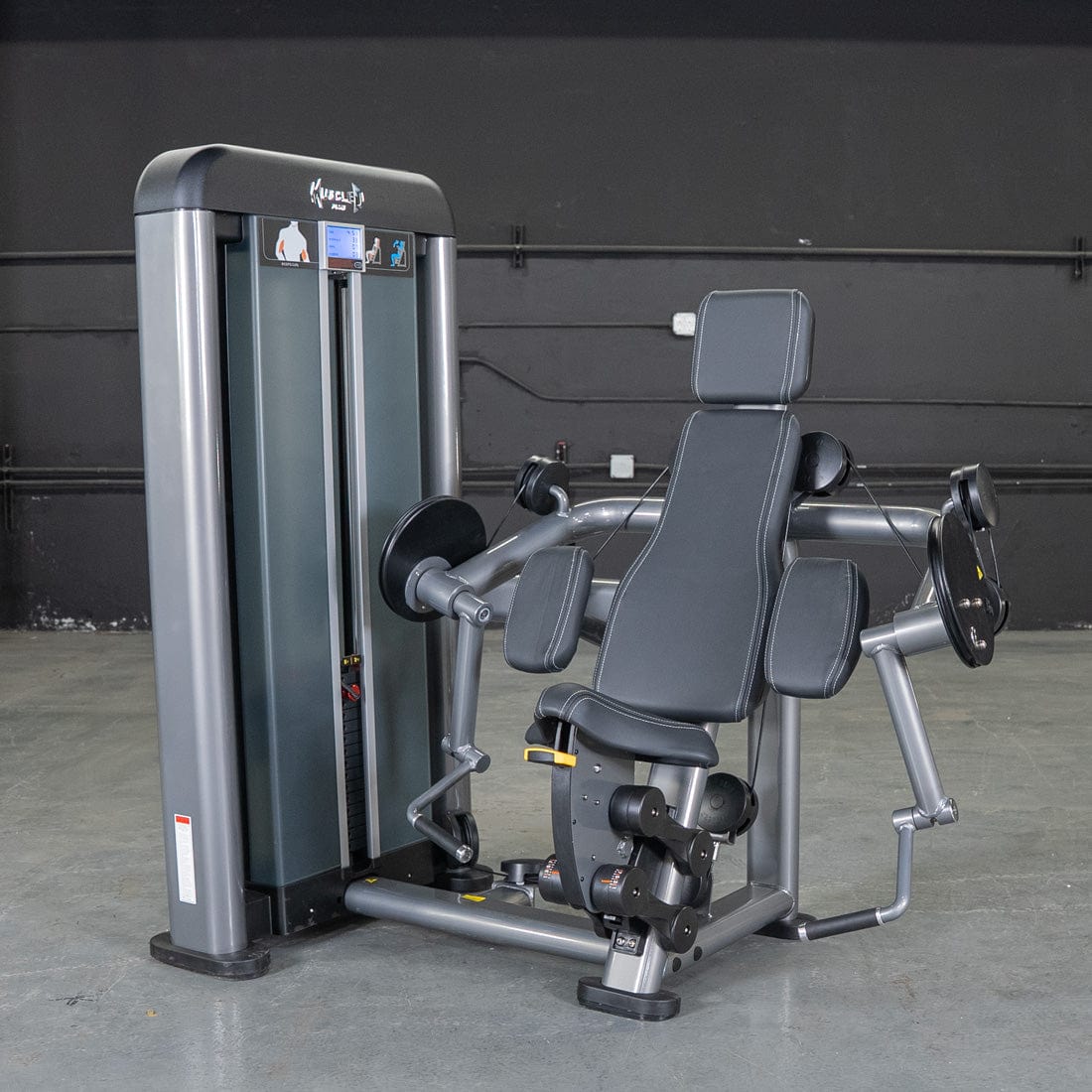 Elite Plus Biceps Curl Machine | Muscle D Fitness - Grit Grind Strength