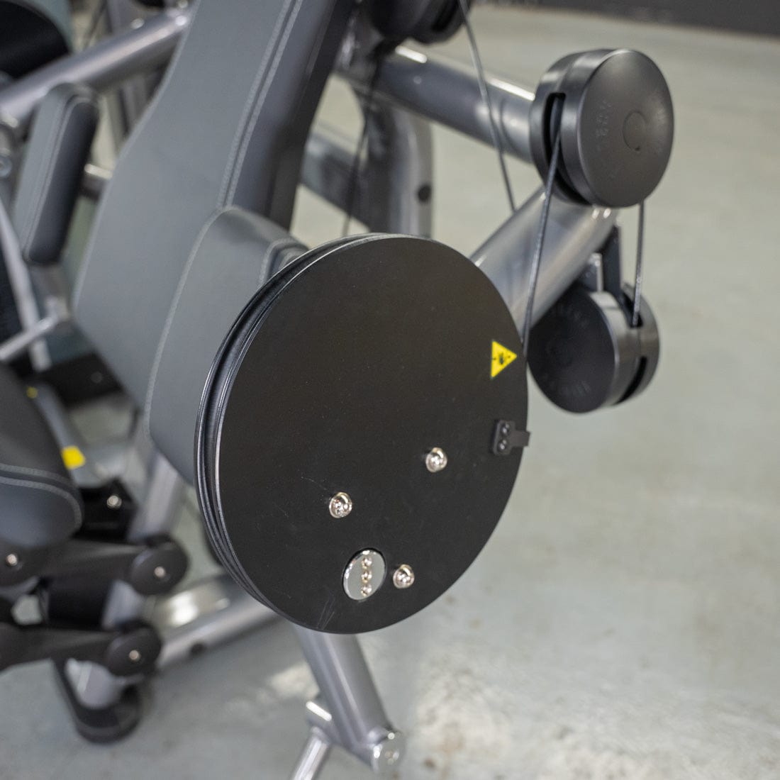 Elite Plus Biceps Curl Machine | Muscle D Fitness - Grit Grind Strength