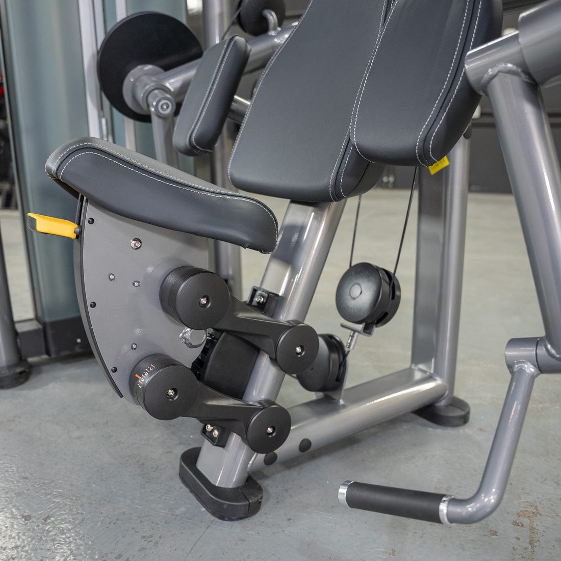 Elite Plus Biceps Curl Machine | Muscle D Fitness - Grit Grind Strength