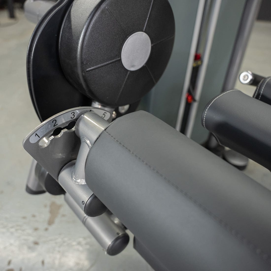 Elite Plus Leg Extension / Seated Leg Curl Combo | Muscle D Fitness - Grit Grind Strength