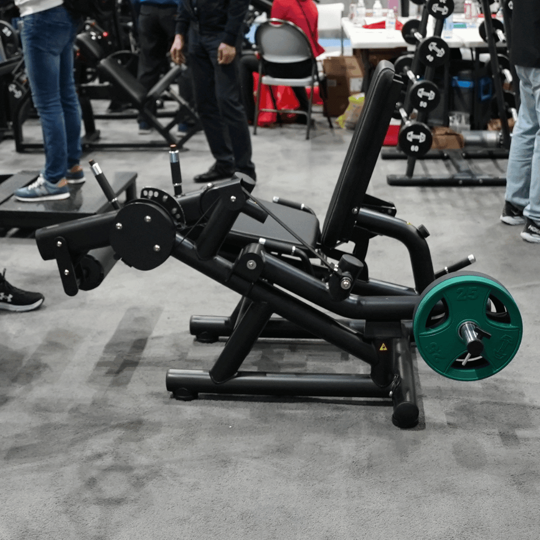 Pro Strength Leg Extension / Prone Leg Curl Combo - Muscle D Fitness - Plate Loaded Quad & Hamstring Machine - Grit Grind Strength