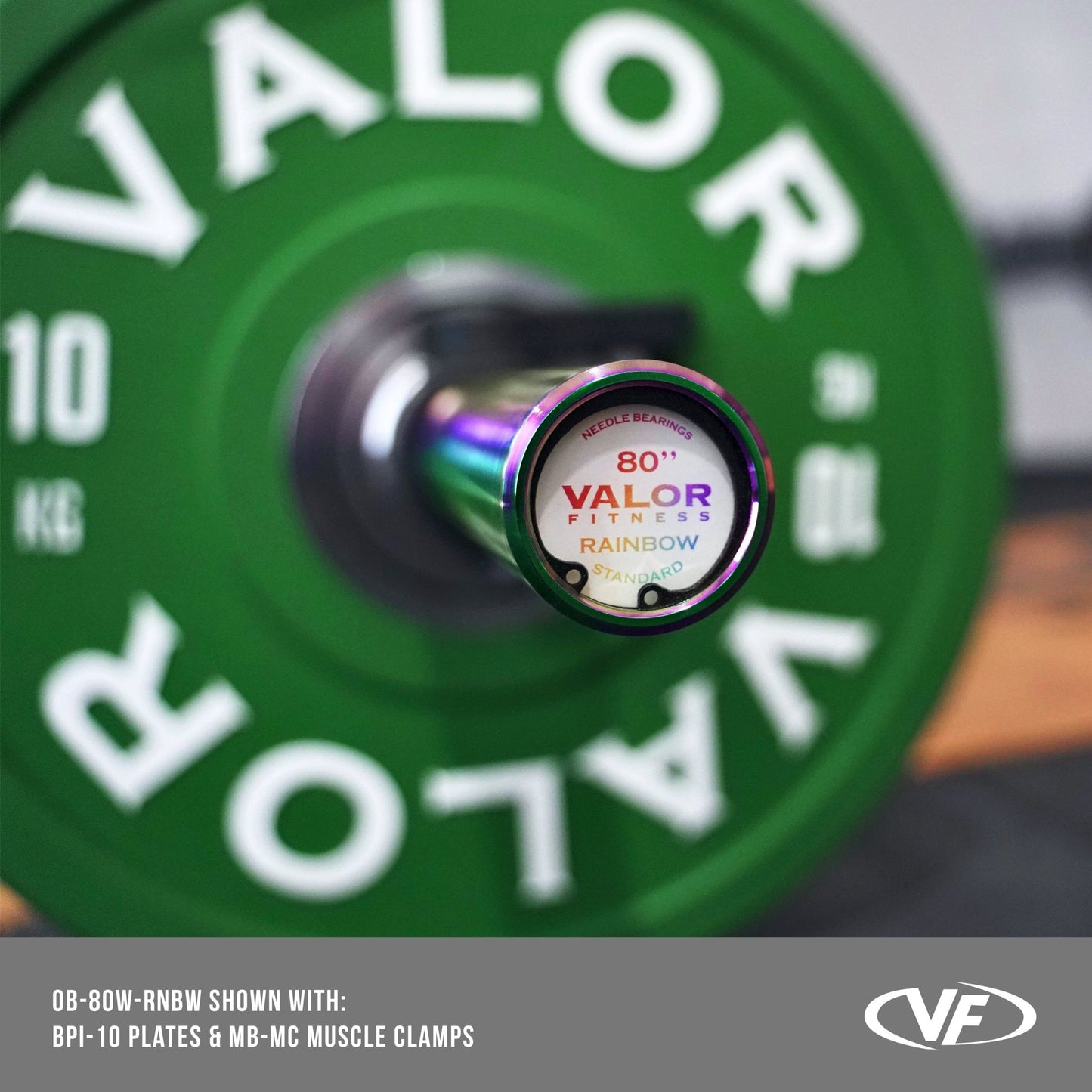 Rainbow Coated Needle Bearing Barbell - Grit Grind Strength