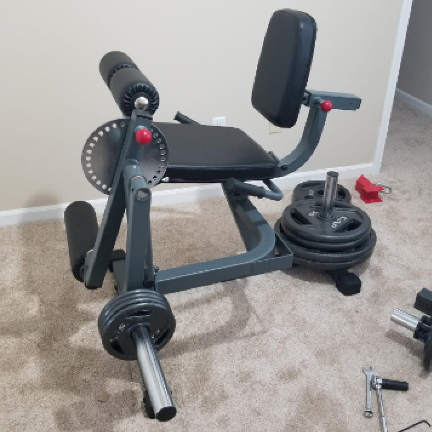 Rotary Leg Extension Curl Machine - Grit Grind Strength