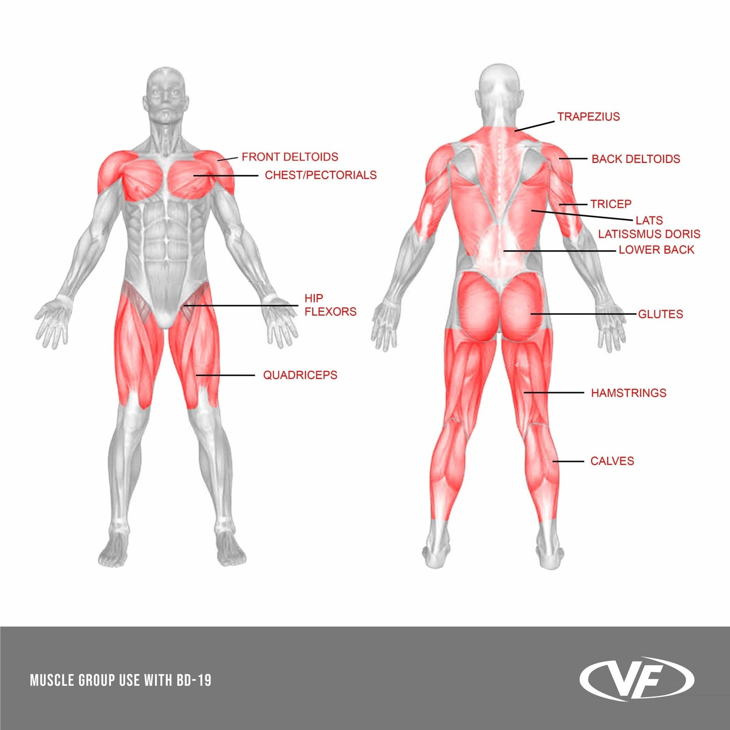 Sawtooth Squat Rack - Grit Grind Strength