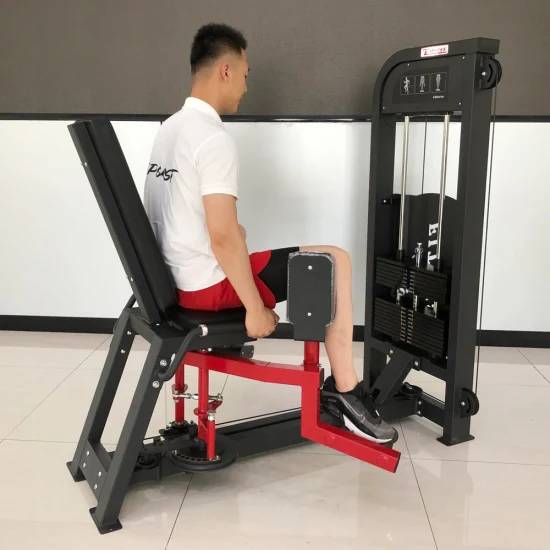 SFE Commercial Inner & Outer Thigh Machine - Grit Grind Strength