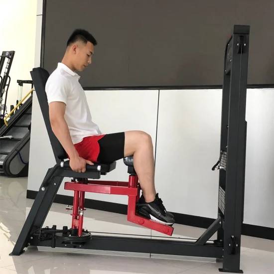 SFE Commercial Inner & Outer Thigh Machine - Grit Grind Strength
