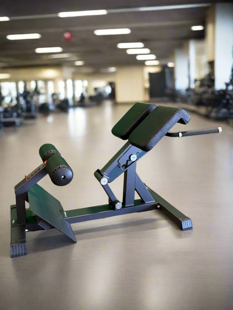 SFE Commercial Roman Chair (New) - Grit Grind Strength