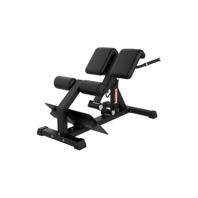 SFE Commercial Roman Chair (New) - Grit Grind Strength