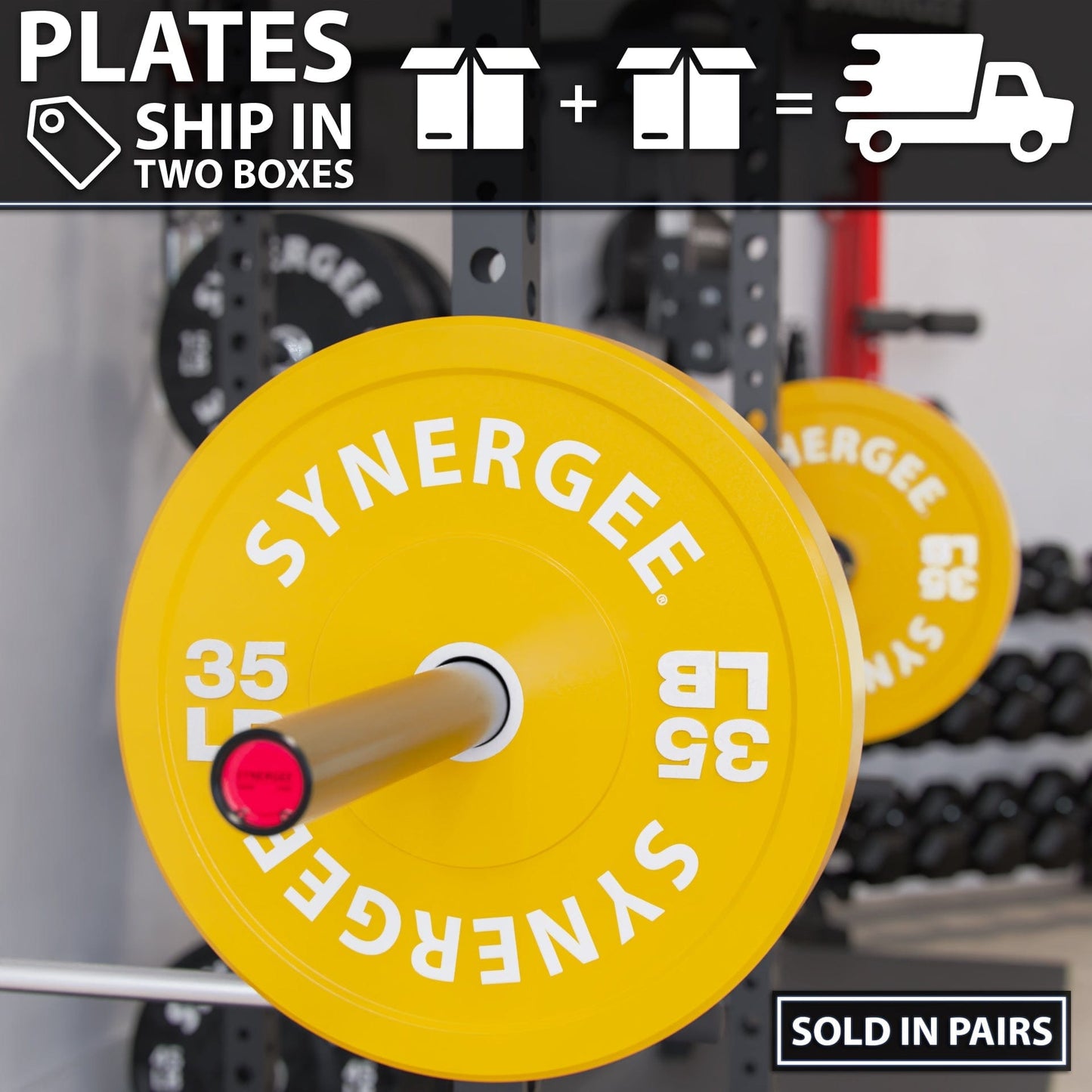 Synergee Bumper Plates - Grit Grind Strength