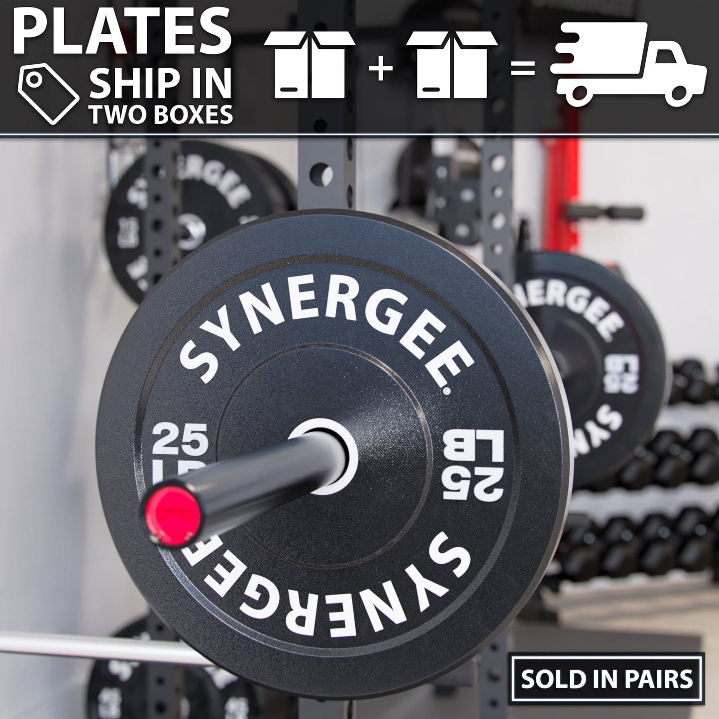 Synergee Bumper Plates - Grit Grind Strength