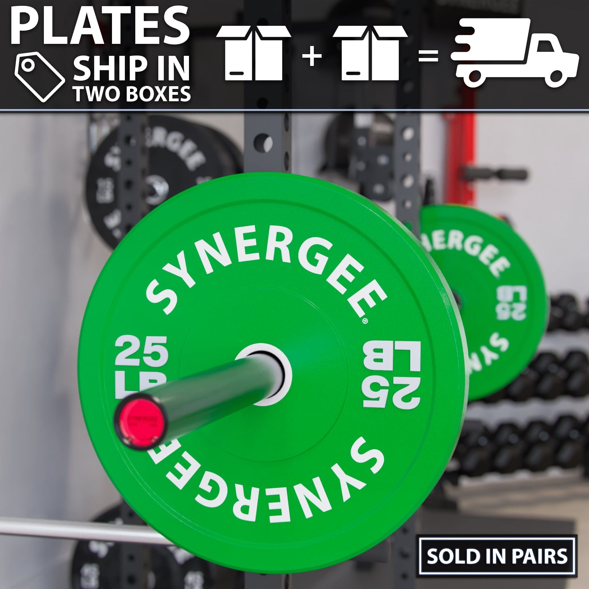 Synergee Bumper Plates - Grit Grind Strength