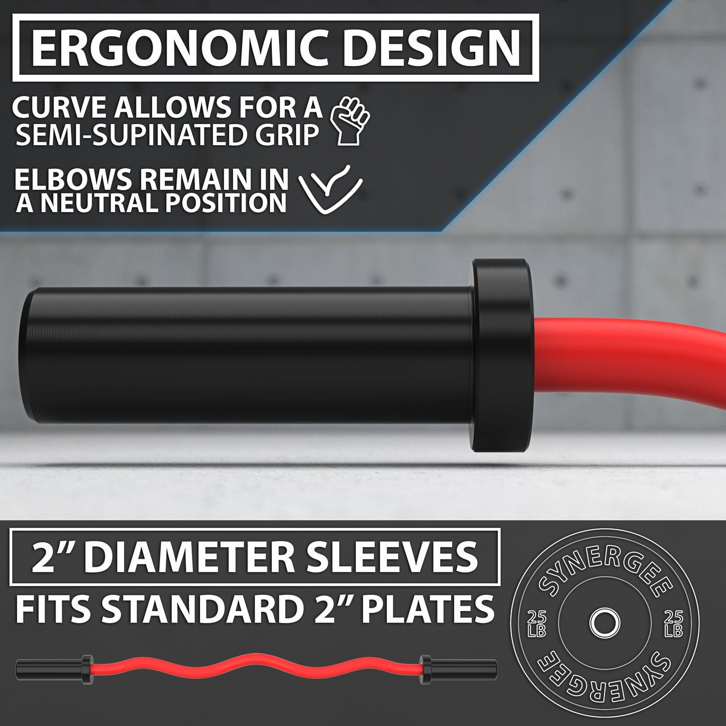 Synergee EZ Curl Bars - Grit Grind Strength
