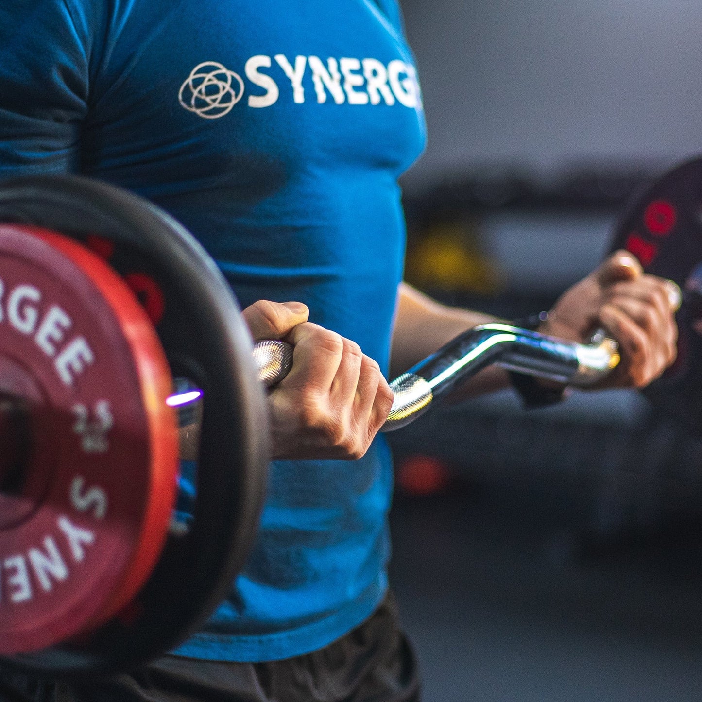 Synergee EZ Curl Bars - Grit Grind Strength