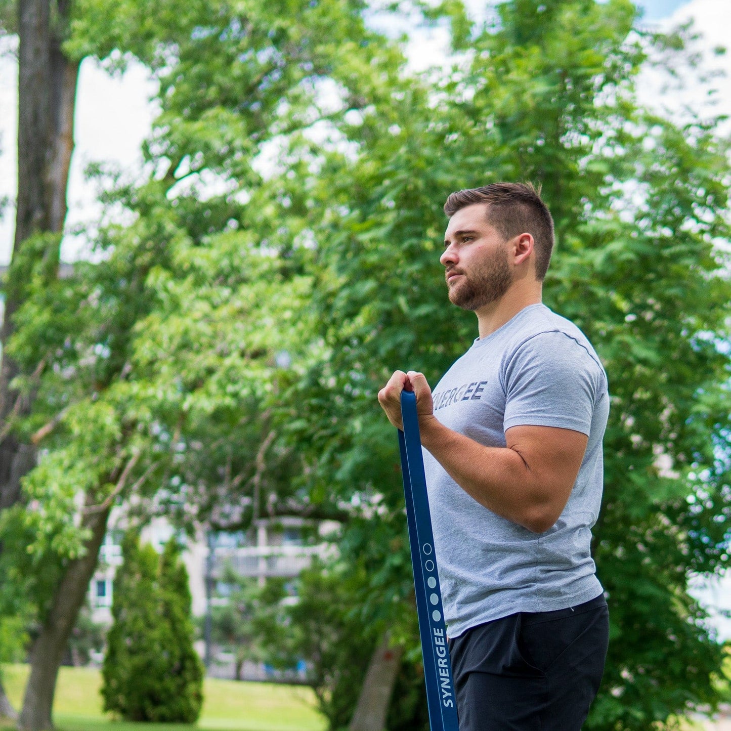 Synergee Resistance Power Bands - Grit Grind Strength