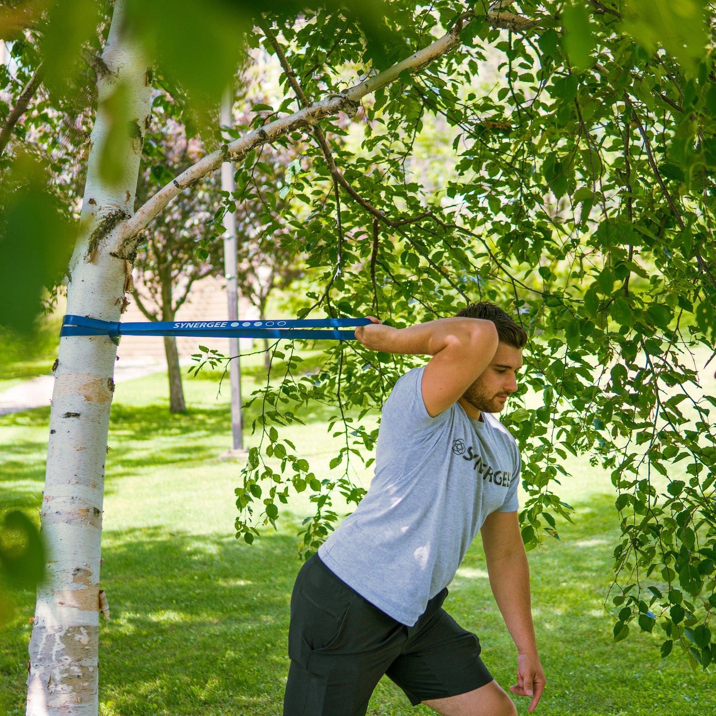 Synergee Resistance Power Bands - Grit Grind Strength