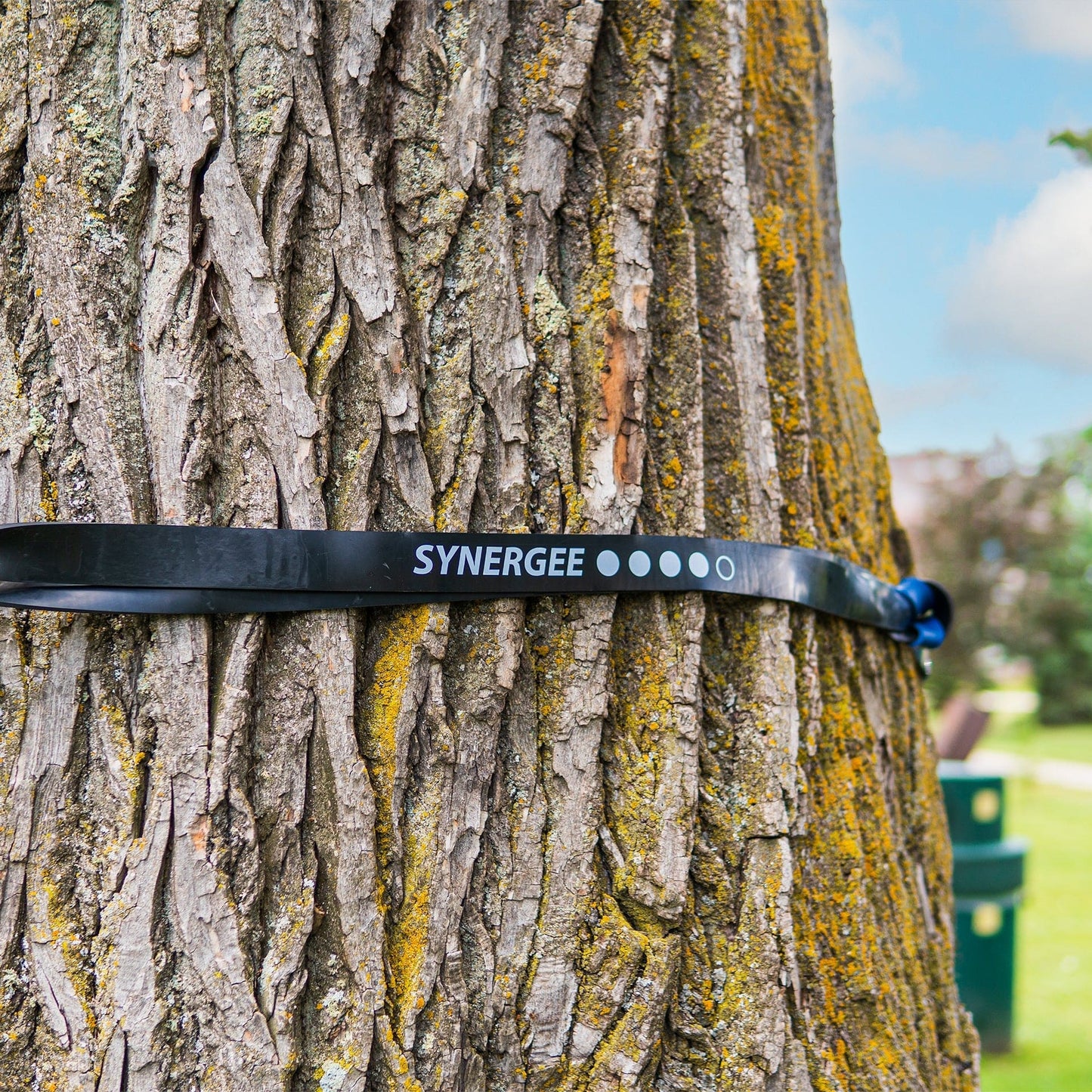 Synergee Resistance Power Bands - Grit Grind Strength