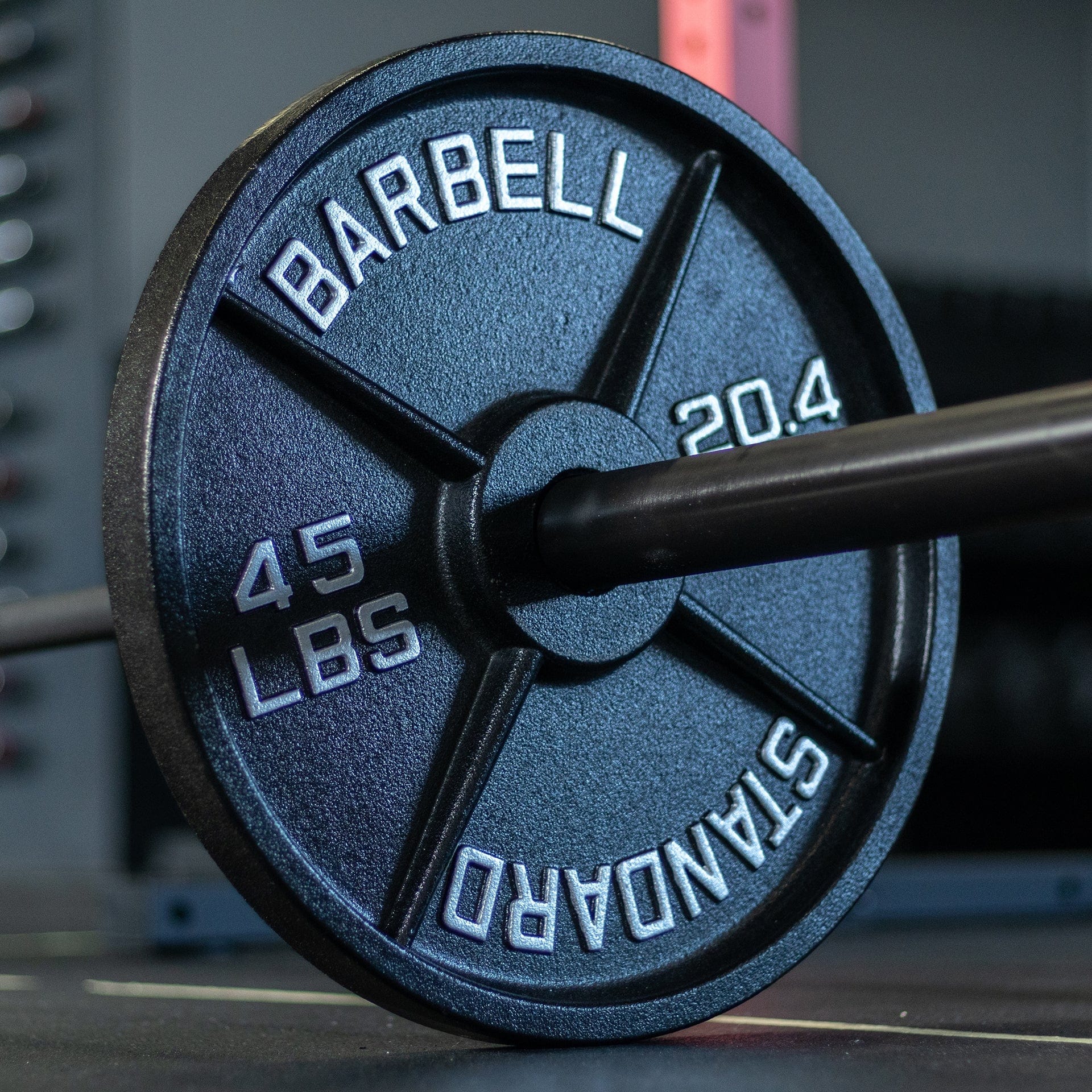 Synergee Standard Metal Weight Plates - Grit Grind Strength