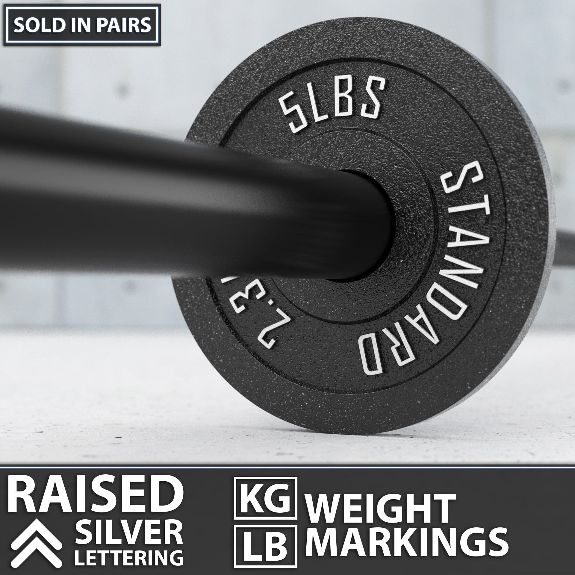 Synergee Standard Metal Weight Plates - Grit Grind Strength