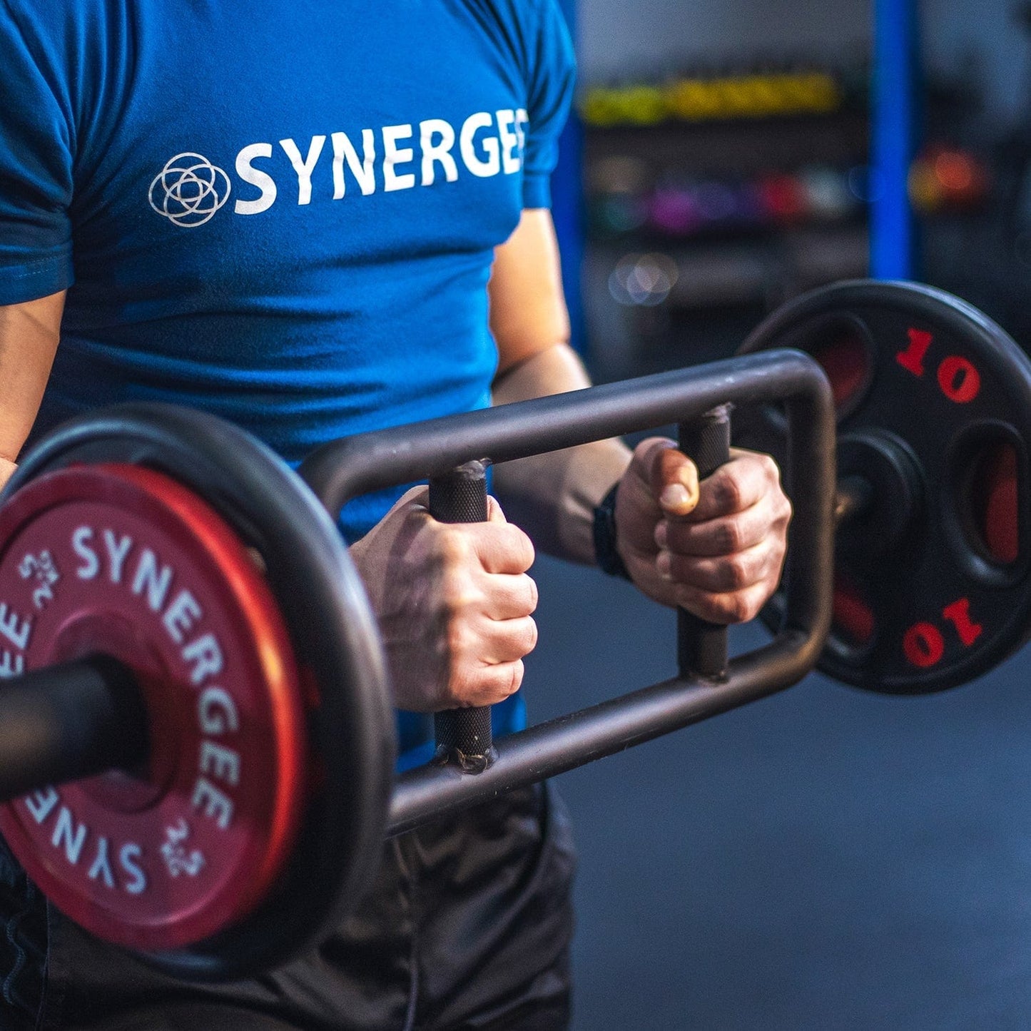 Synergee Tricep Bar - Grit Grind Strength