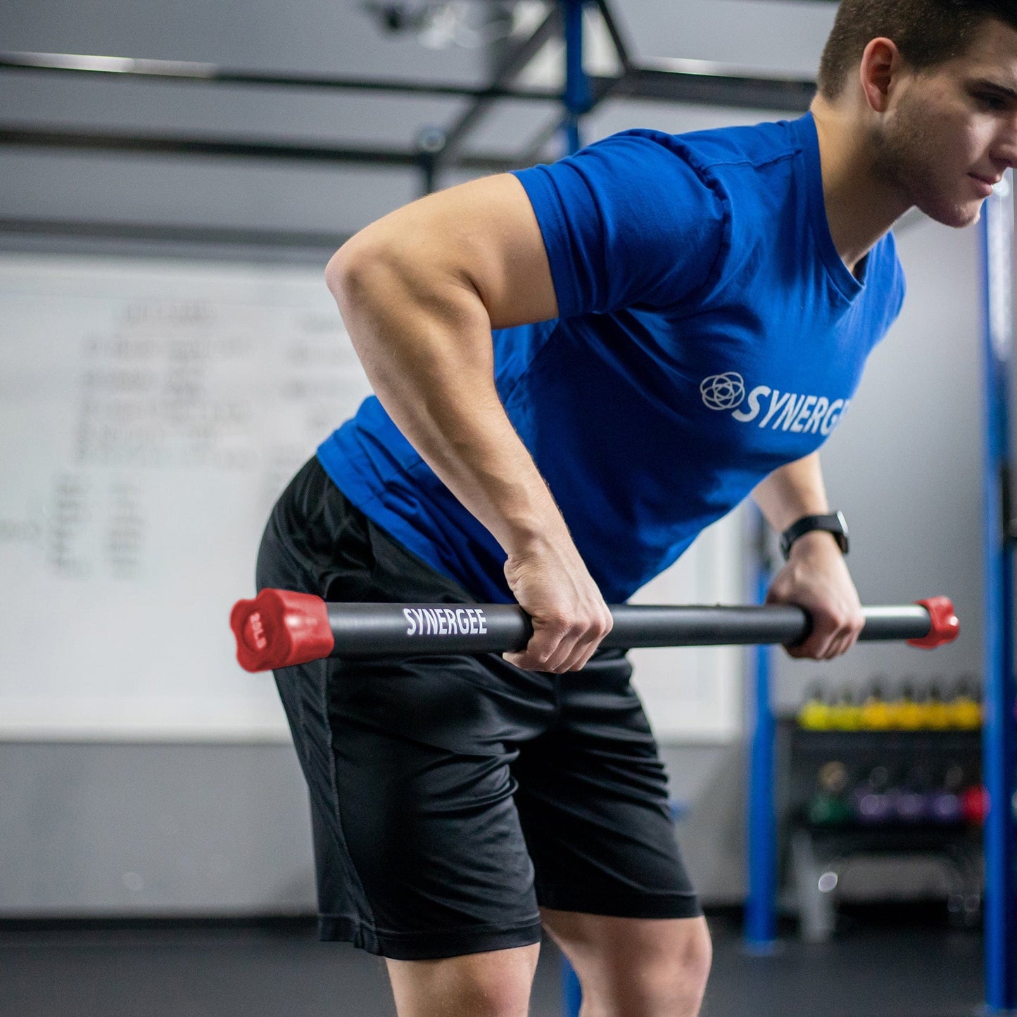 Synergee Weighted Workout Bars - Grit Grind Strength