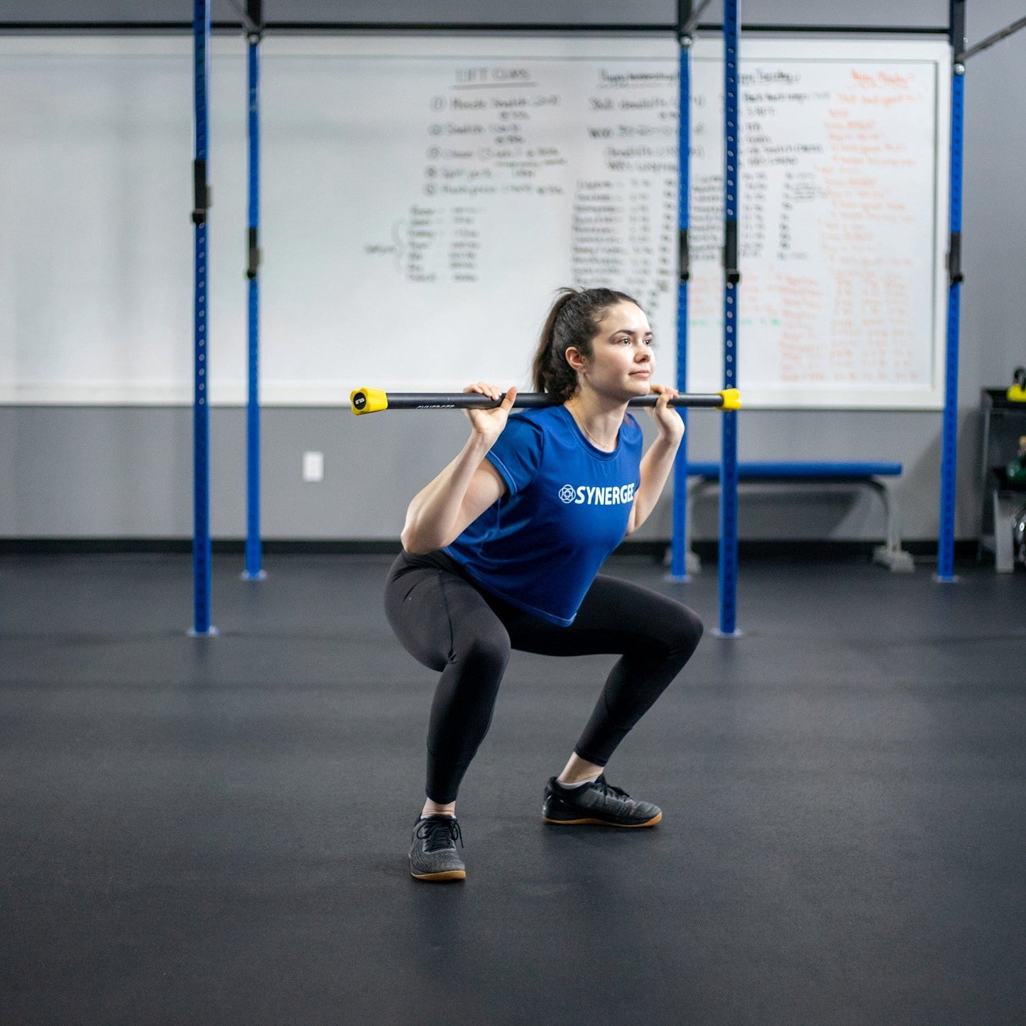 Synergee Weighted Workout Bars - Grit Grind Strength