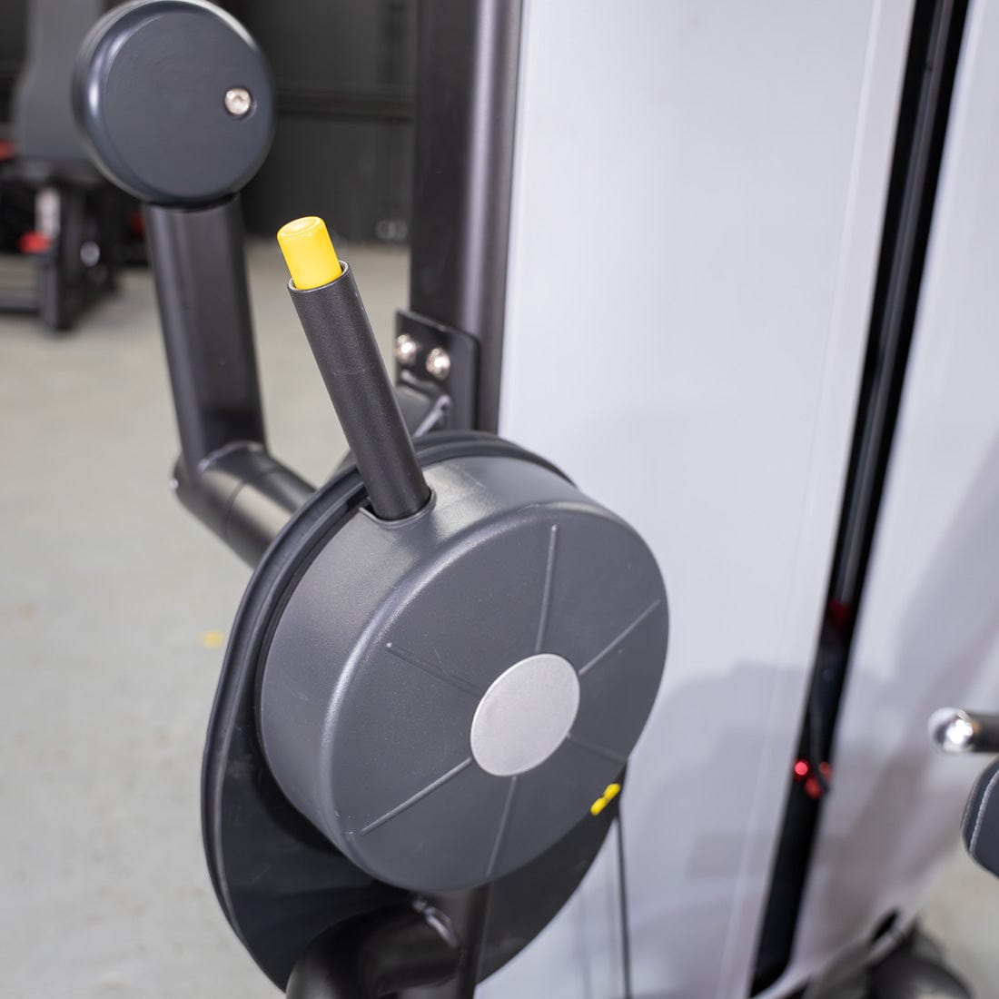 Vogue Seated Leg Curl | Commercial Hamstring Machine | MDF - Grit Grind Strength
