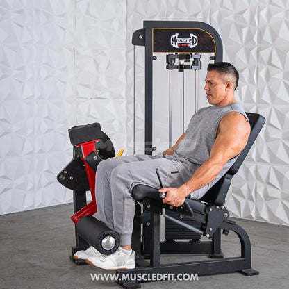 Classic V2 Selectorized Leg Extension Machine – Muscle D Fitness