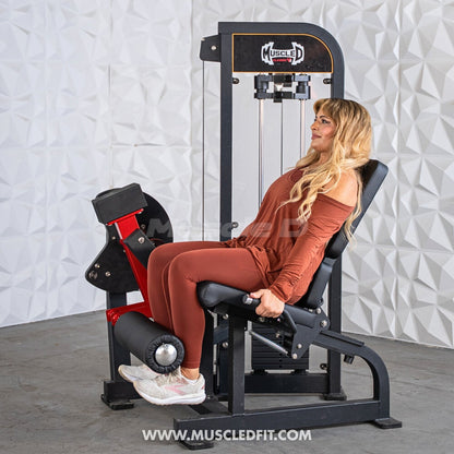Classic V2 Selectorized Leg Extension Machine – Muscle D Fitness