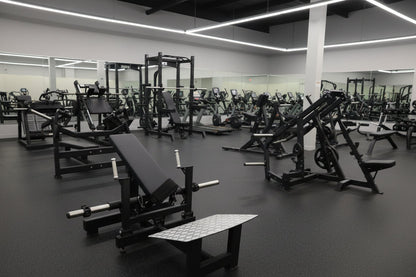 Máquina de empuje de cadera con placa SFE Commercial (nueva)