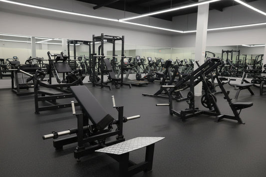 SFE Commercial Plate Loaded Hip Thrust Machine