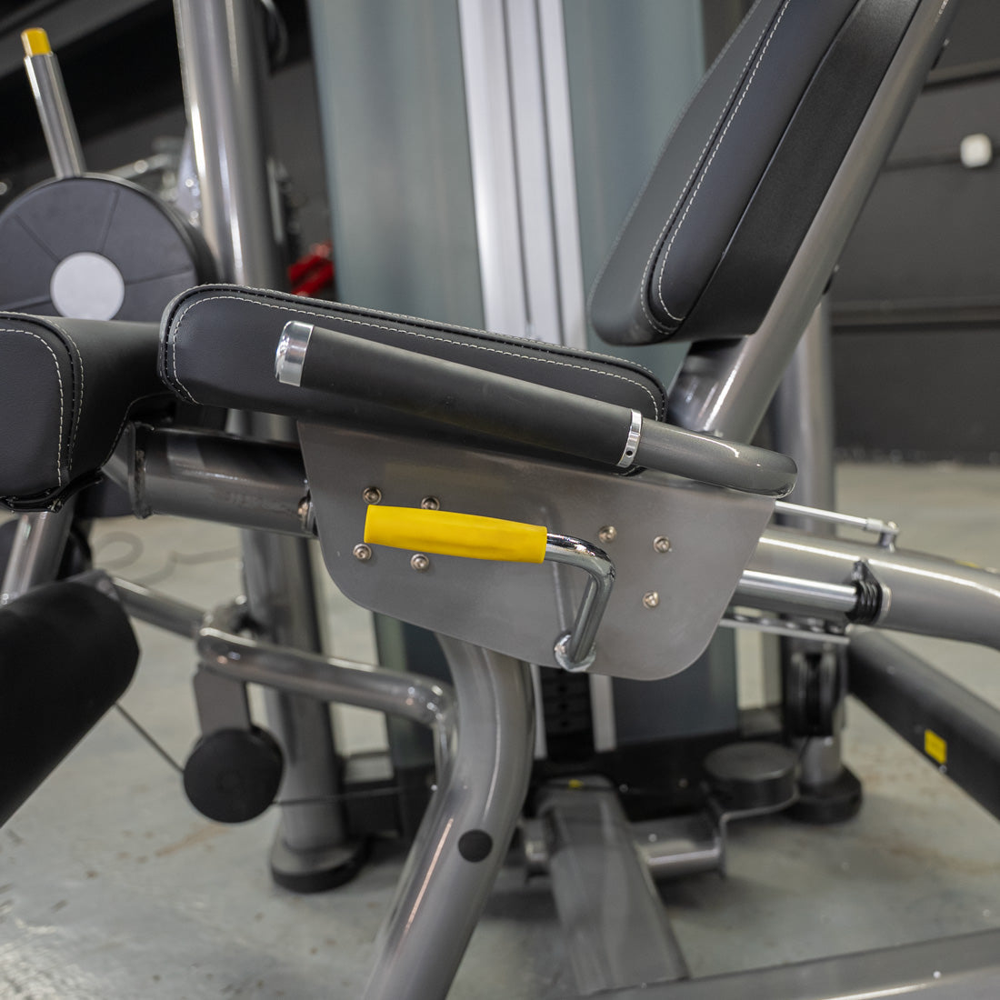 Elite Plus Leg Extension / Seated Leg Curl Combo | Muscle D Fitness - Grit Grind Strength