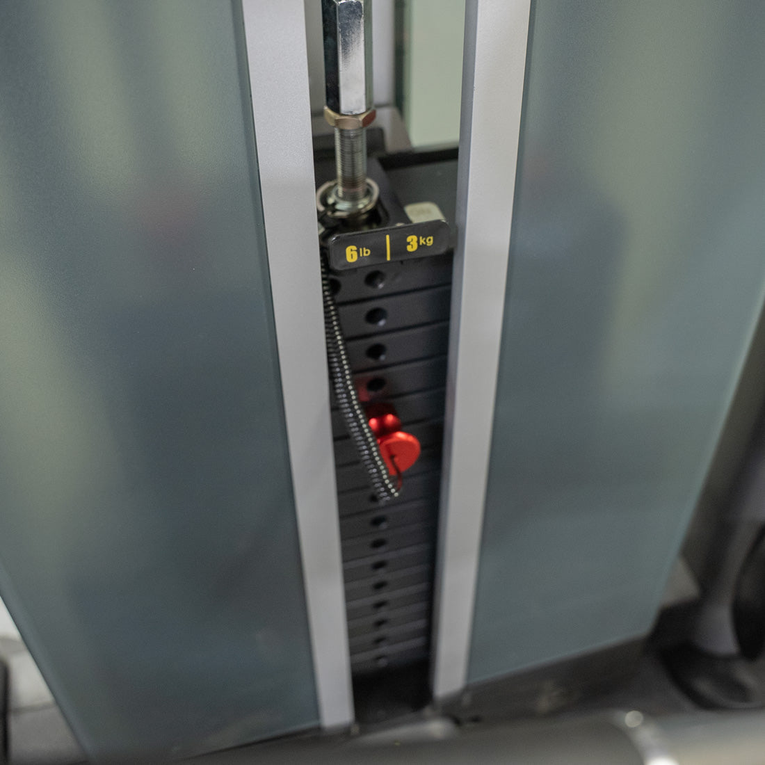 Elite Plus Leg Extension / Seated Leg Curl Combo | Muscle D Fitness - Grit Grind Strength