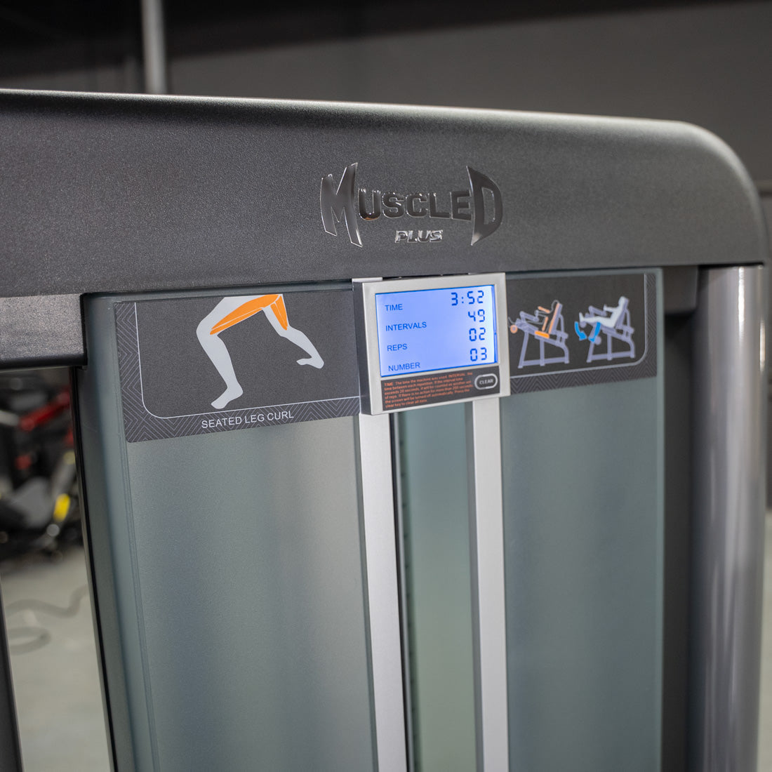 Elite Plus Seated Leg Curl | Commercial Gym Equipment - Grit Grind Strength