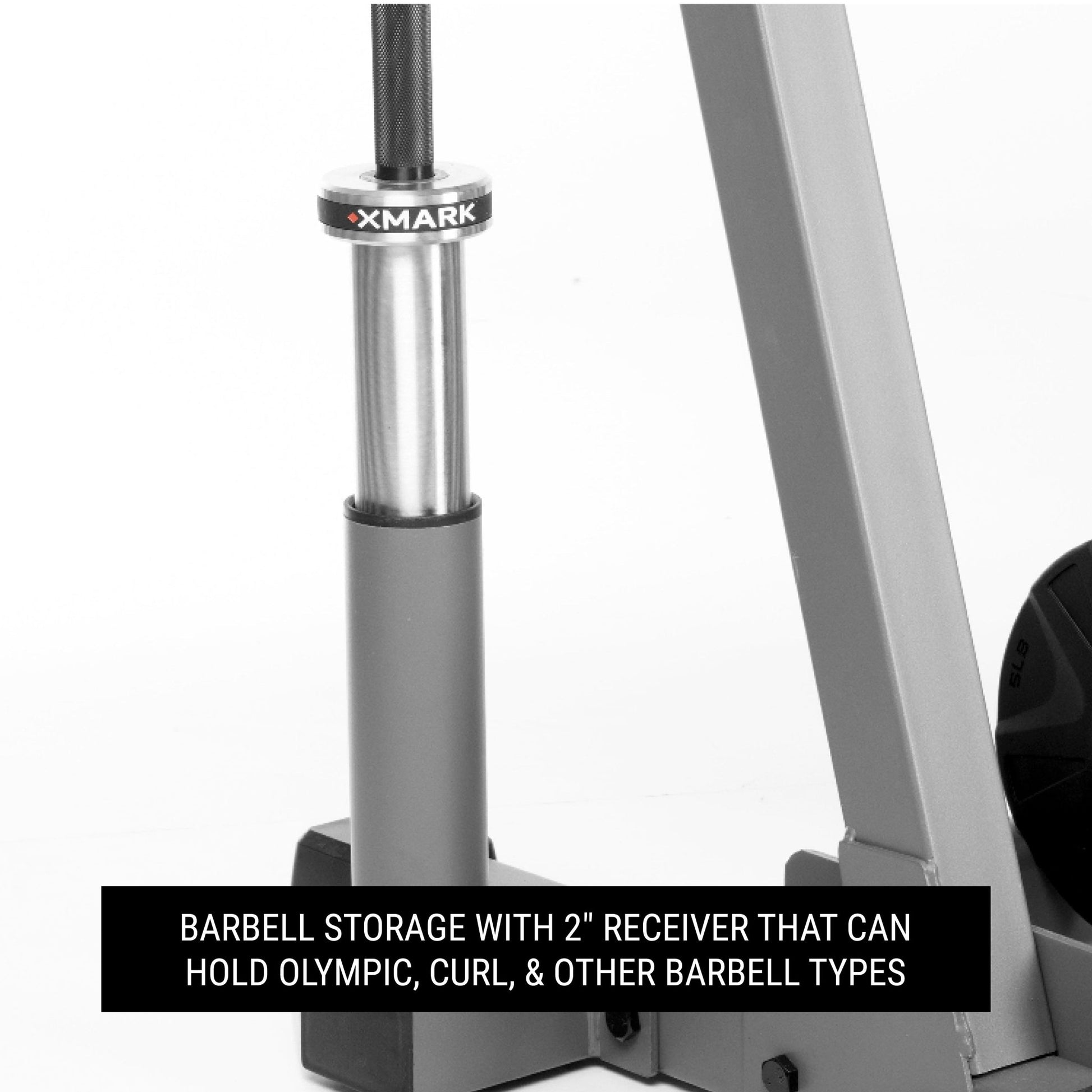 All - In - One Storage Solution, Dumbbells, Weight Plates and Barbells - Grit Grind Strength