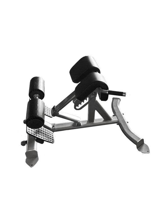 Back Extension Bench - Muscle D Fitness - Premium Upholstery Lower Back, Roman Chair - Grit Grind Strength