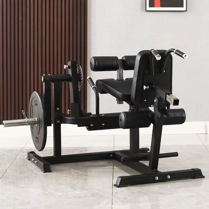  Multi-Functional Leg Curl and Leg Extension Machine