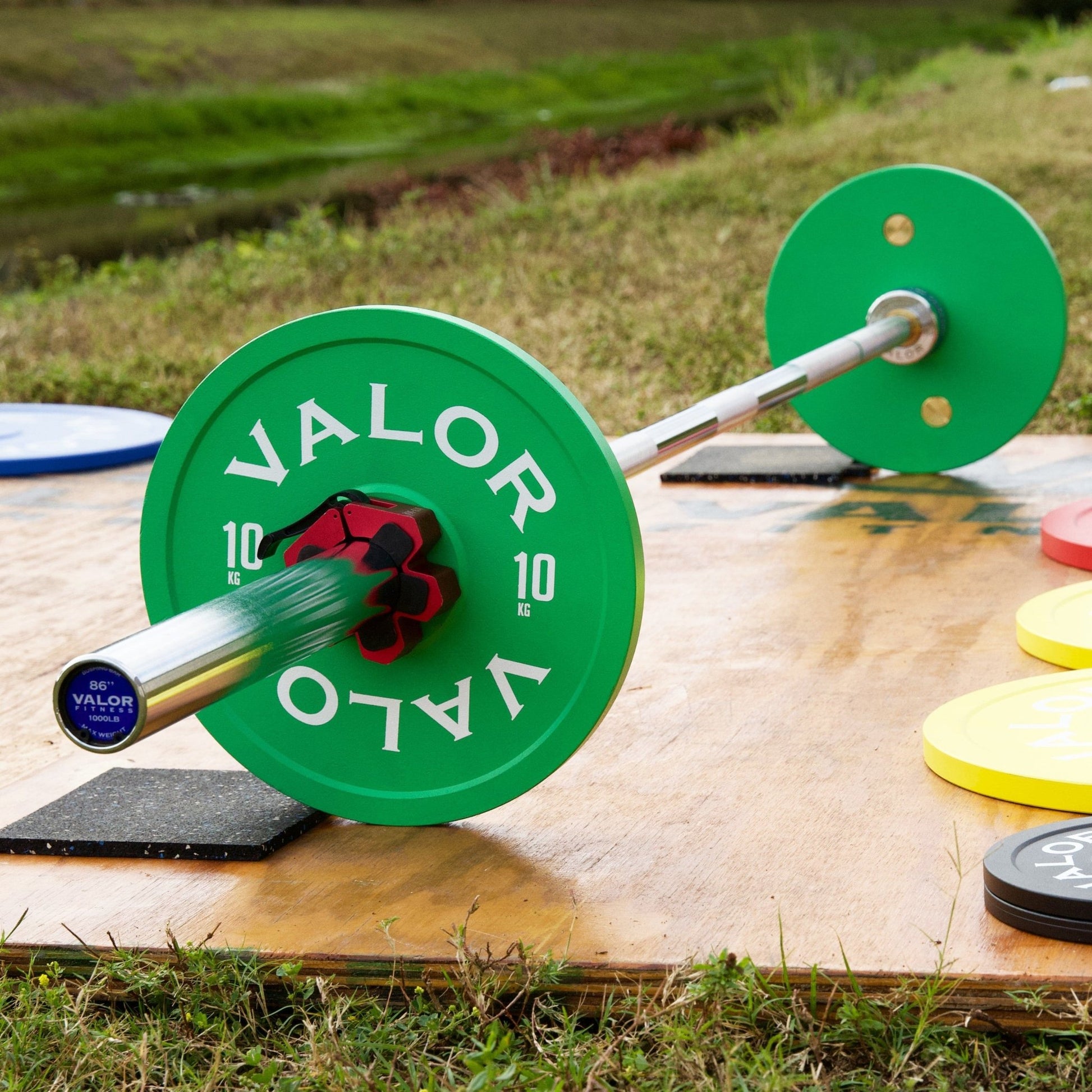 Chrome Olympic Bushing Barbell - Grit Grind Strength