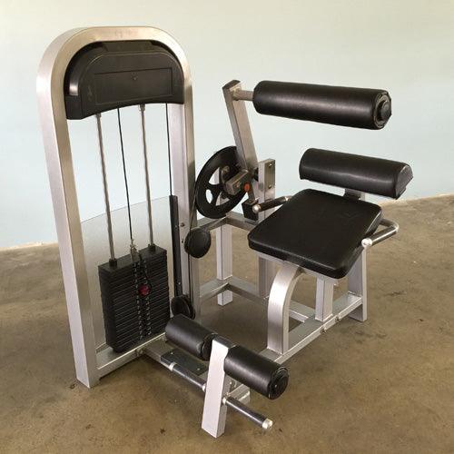 Classic Back Extension - Muscle D Fitness - Pin Selectorized, Commercial Upholstery, 11 Gauge Steel - Grit Grind Strength