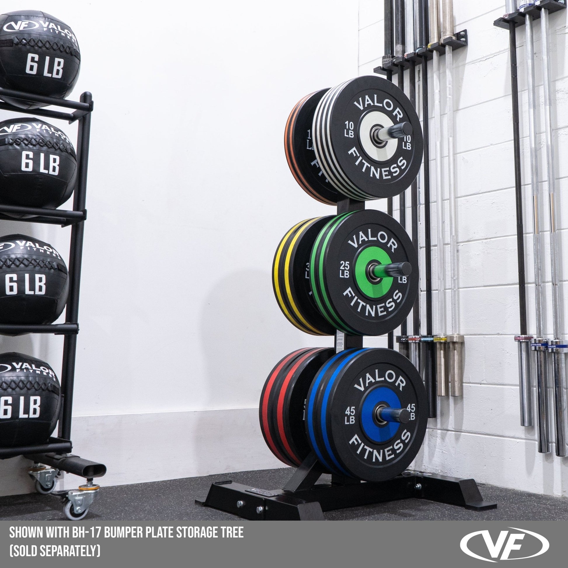 Colored Rubber Bumper Plates (LB) - Grit Grind Strength
