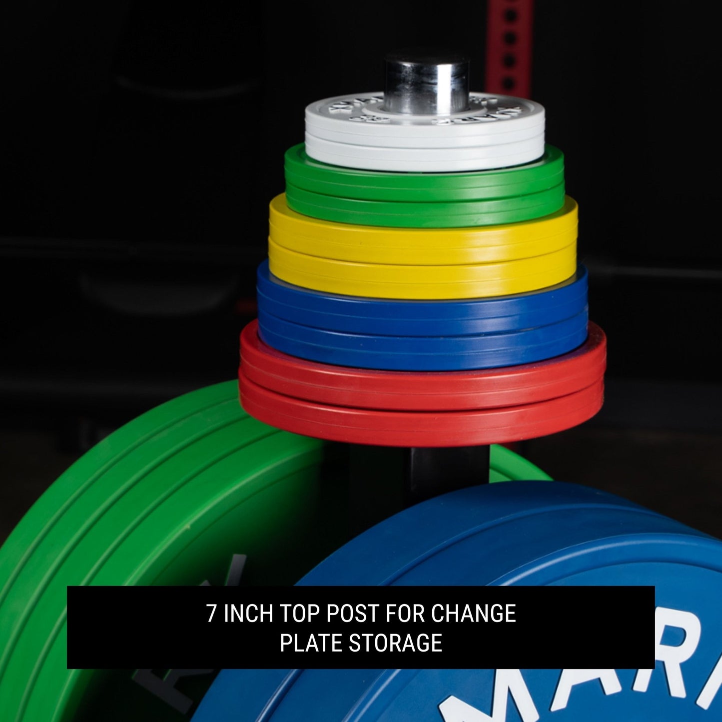 Commercial Bumper Plate Tree on Castors with Dual Bar Holders - Grit Grind Strength