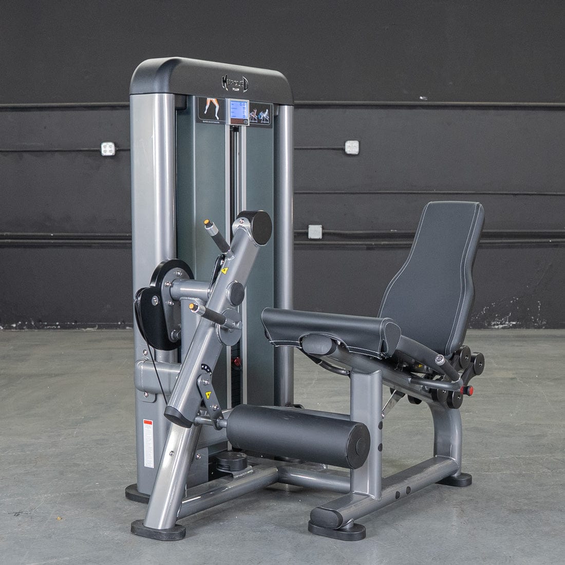 Elite Plus Leg Extension Machine | Muscle D Fitness - Grit Grind Strength