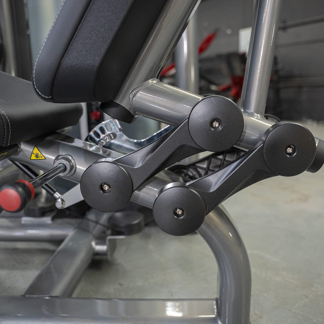 Elite Plus Leg Extension Machine | Muscle D Fitness - Grit Grind Strength