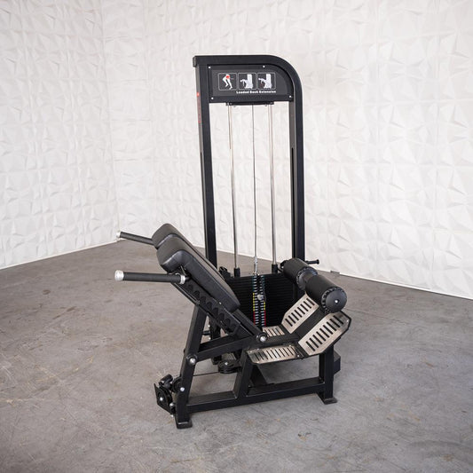 Excel Loaded Back Extension Muscle D Fitness Selectorized 45 Degree Hyper Extension Band Compatable - Grit Grind Strength