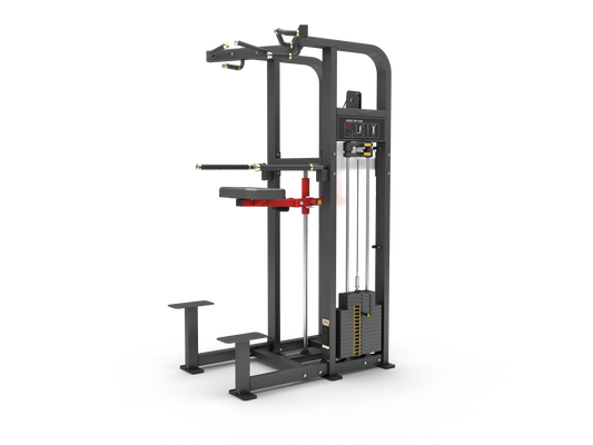 Lanbo Assisted Chin Dip Pull Up Machine - Grit Grind Strength