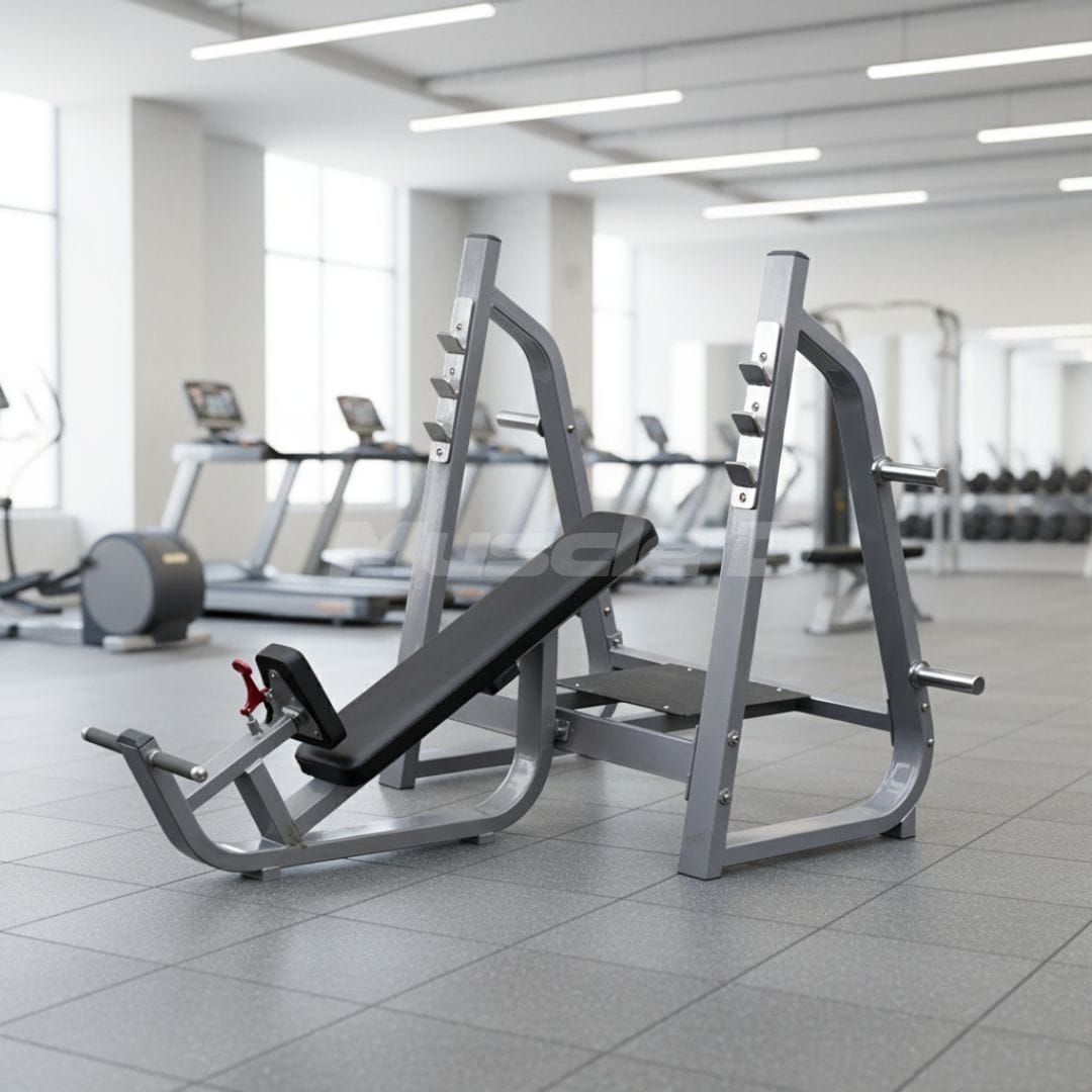 Muscle D Fitness Olympic Incline Bench - Muscle D Fitness - 11 Gauge Steel - Commercial Upholstery - Weight Storage Pegs