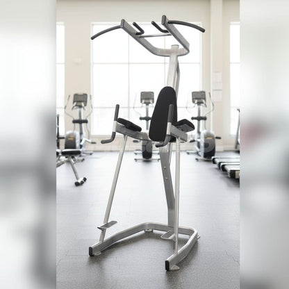 Muscle D Fitness Vertical Knee Raise with Pull Up Station - Muscle D Fitness - Commercial