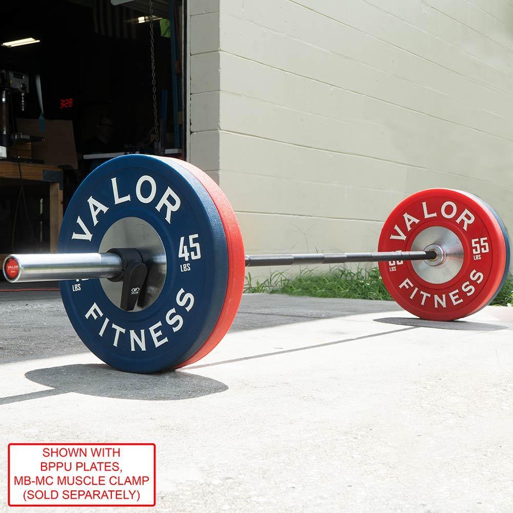 Needle Bearing Olympic Barbell - Grit Grind Strength