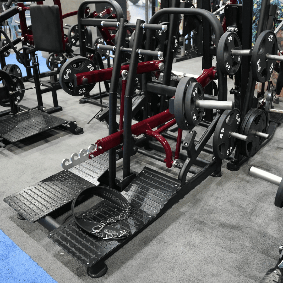 Pro Strength Belt Squat - Muscle D Fitness - Standing Belted Hip Thrust - Plate Loaded - Grit Grind Strength